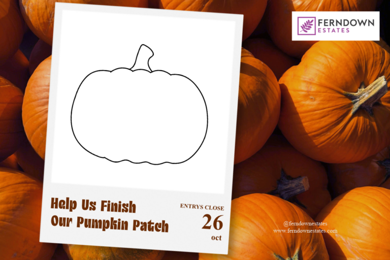 Pumpkin Patch Blog Heading Image