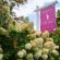 Ferndown Estate Agents